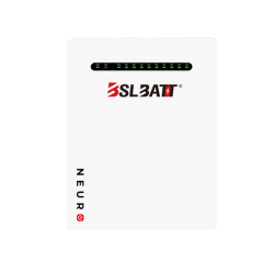 BSL Battery Neuro 51.2V 100ah Wall Mount (5.12kWh)